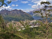 Monte Barro ad anello ‘fiorito’ da Galbiate-17apr23 - FOTOGALLERY